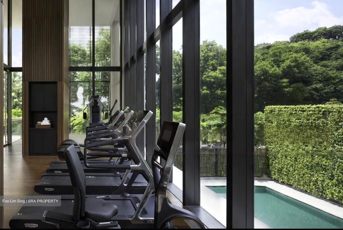 Hana (D10), Condominium #459773891